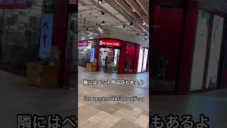 セントラルシラチャに行ってきたよ ไปเซ็นทรัลศรีราชามา #shorts #トイプードル #タイ犬 #タイ #พุดเดิ้ล #หมาไทยๆ #ญี่ปุ่น