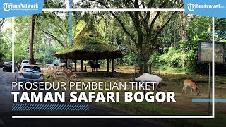 Taman Safari Bogor Buka Kembali, Pengelola Sarankan Pembelian Tiket Secara Online, Seperti Apa?