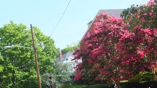 "BE NOT DISCOURAGED" Poem #11 by Meghann Owens  9/14/16