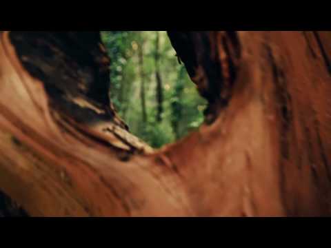 8Dio Scoring Contest – Aaron Costain