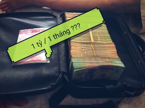 Hướng dẫn chăm sóc cây thanh long ruột đỏ xông đèn tại xã Quơn Long - huyện Chợ Gạo - tỉnh Tiền Giang