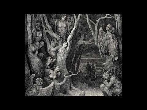ASSALM - Chimera