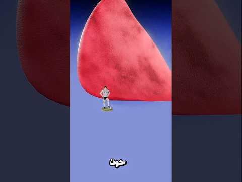 كبد الضفدع vs كبد الحوت