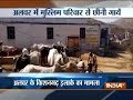 Rajasthan: 51 cows of Muslim family snatched in Alwar