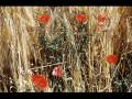 Mouloudji chante les coquelicots 