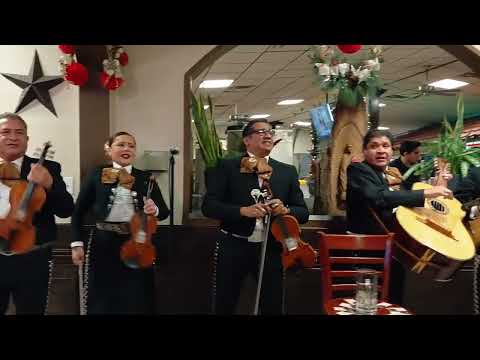 Promotional video thumbnail 1 for Mariachi Los Reyes