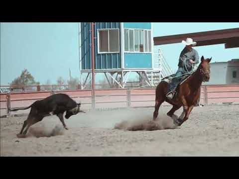 Video 1
