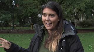 Duck TV News and Sports Winter '19 Episode 1