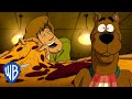 Scooby Doo En Latino Una Pizza Que Parece Un Pastel WB Kids