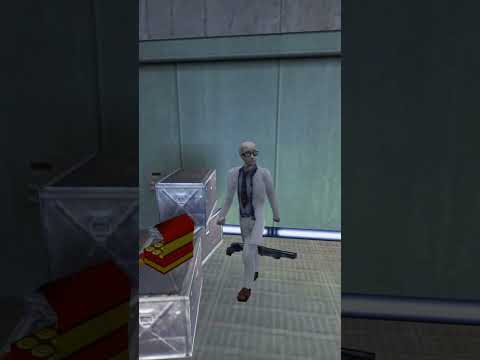 Fake Guns in the Half-Life Series