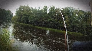 Two of a kind - fly fishing for big salmon