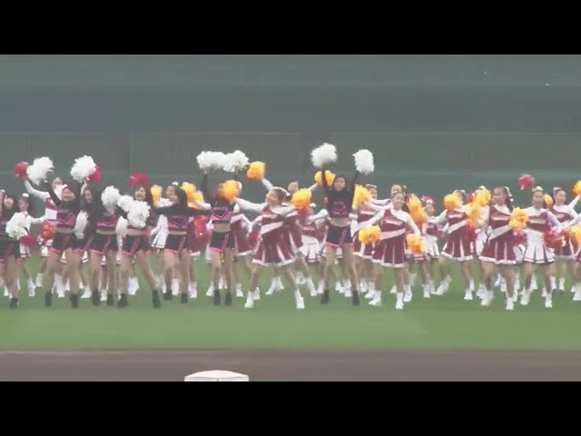 【イーグルスファン感謝祭】Jr.チアリーダーズパフォーマンス 2019/11/24