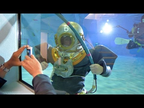 スイミングプールの輪郭をどのように配置するか?プールを舗装、植栽、家具で囲むための 3 つのアイデア  庭園