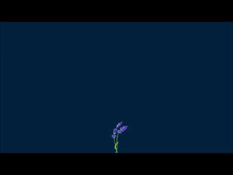 gnash, quiñ, buddy - rip