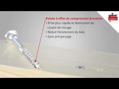 Rapid® SuperSenkFix (Französisch) Rudolf Geiser AG