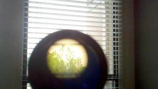 Mother Russia Comrades!