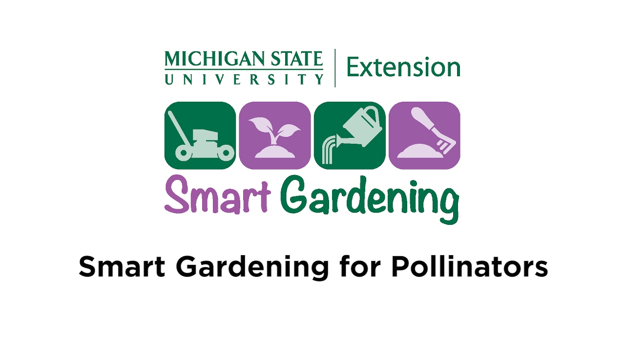 Smart Gardening Pollinators
