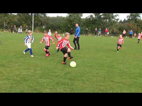 BEW Vledder JO8-1 - vv Steenwijk JO8-3