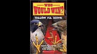 Read with Chimey: Who Would Win? Falcon vs Hawk re