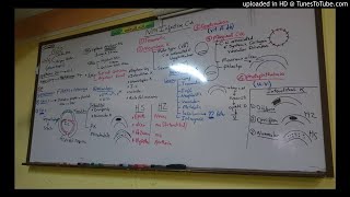 13) Dr. Wael Salah non infictive corneal ulcer