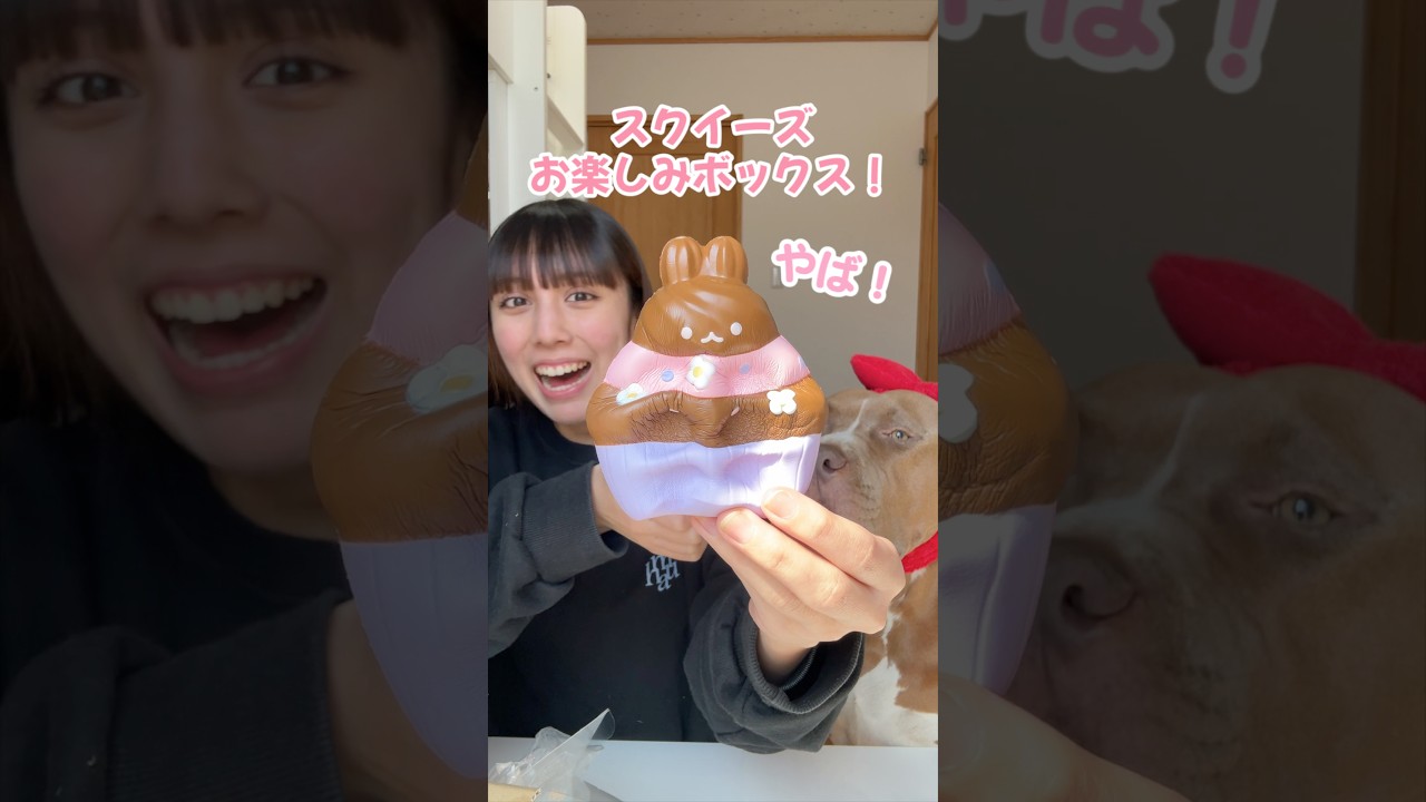 スクイーズのお楽しみボックスを開封！超お得！【ブルームスクイーズ】#shorts