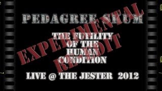 Pedagree Skum - Futility - Live at the Jester - (experimental re-edit)