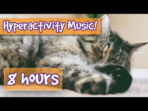 Anti-Hyperactivity Music! Soothing Music to Calm Your Nervous or Hyper Cat. Soothe Stress, Anxiety🐈