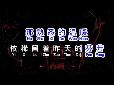 孙露  《 天使的翅膀 》  tian shi de chi bang