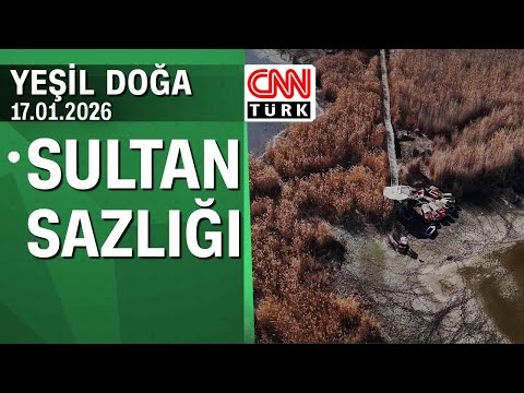 Diminishing Water Resources: Sultan Sazlığı - Green Nature, Saturday, January 17, 2026