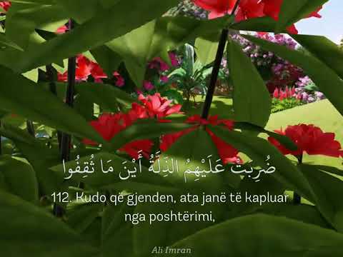 Surja Ali Imran, ajetet 110-112