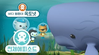 바다 탐험대 옥토넛 - 겁쟁이 향유고래 (시즌2 에피소드11 - 전체에피소드)