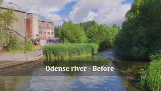 UC Life Denmark – Midterm video