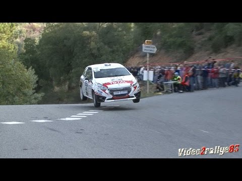 HighLights Saison 2015 - Franceschi-Salmon 208 Rally Cup