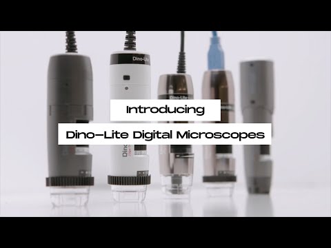 Introducing Dino-Lite Digital Microscope