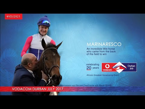 MARINARESCO:  VDJ2017