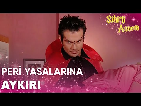 Tuna, Betüş'ü Kaçırıyor!   |  Sihirli Annem