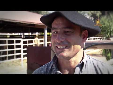 La Criolla del Prado cumple 90 años