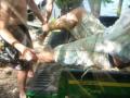 Pratt BIKE JUMP And David Pratt S BIKE CRASH Lake Winnipesaukee 2009