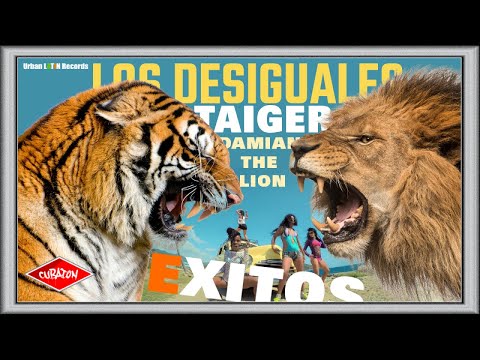 LOS DESIGUALES, EL TAIGER - LO MEJOR - LOS EXITOS - BEST OF DESIGUALES