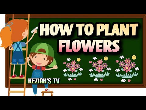 How To Plant Flowers | Keziah's TV