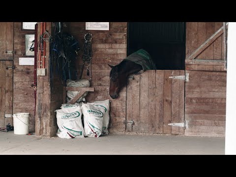 Jones Road Productions video.