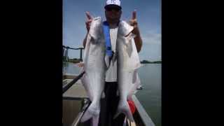 preview picture of video 'Electrofishing For Kansas Blue Catfish'