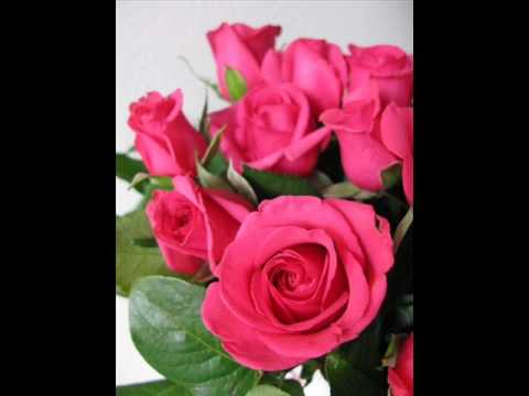 Happy Birthday Annina.wmv