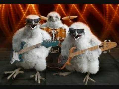 Citton ft Def Rhymz & Stiko Junior - Playa Hater