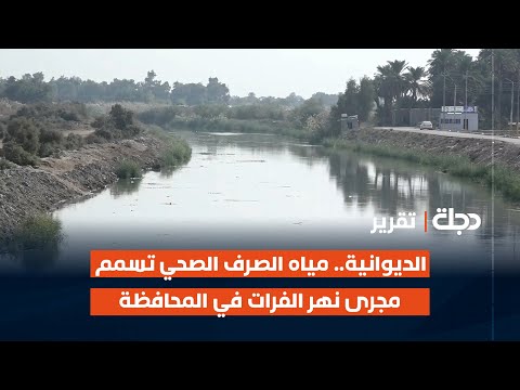 فيديو | الديوانية.. مياه الصرف الصحي تسمم مجرى نهر الفرات في المحافظة