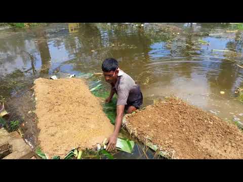 ভাসমান বীজতলা তৈরির কৌশল-১