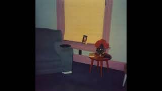 [0739.8] Jandek - They Told Me I Was A Fool (1978)