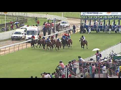 RM5 R6 - Cool At Heart | D.David