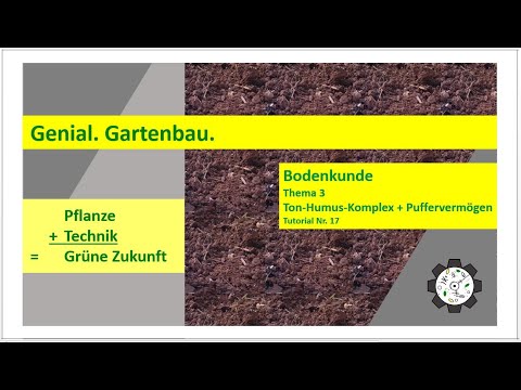 Bodenkunde | Ton-Humus-Komplex und Puffervermögen | Tutorial #17