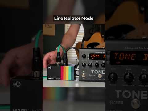 Walrus Audio Canvas Stereo Dual Line Isolator image 4